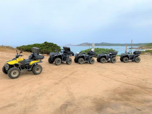 <p>Quad for excursion with sea view in Santa Teresa Gallura</p><p><br></p>