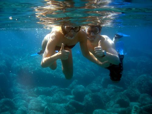 Hikers snorkel during a dolphin-watching excursion in Alghero