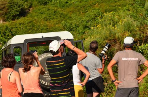 Los vehículos todoterreno y los excursionistas toman fotos durante la excursión.