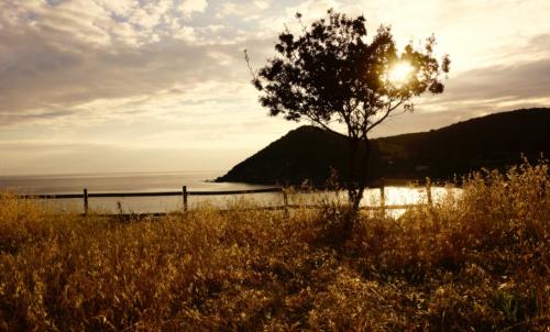 Territoire d'Alghero au coucher du soleil