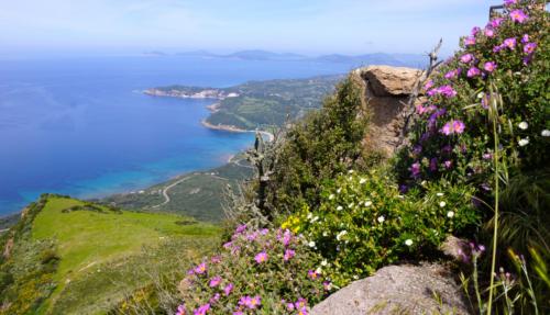 Gebiet zwischen Alghero und Bosa